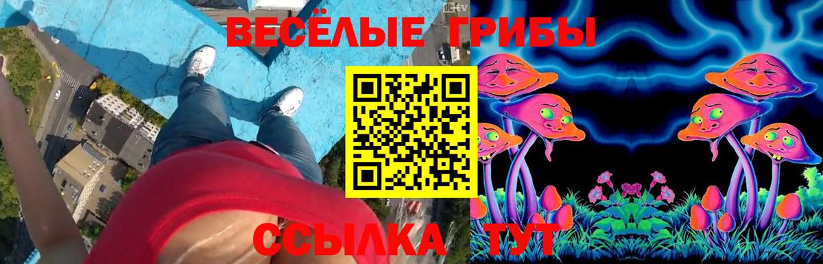 Азнакаево  Галлюциногенные грибы GOLDEN TEACHER  что такое наркотик  Вход с VPN 