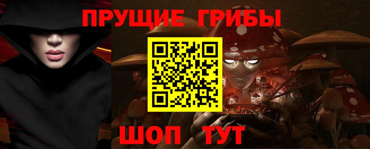 Галлюциногенные грибы Cubensis Азнакаево